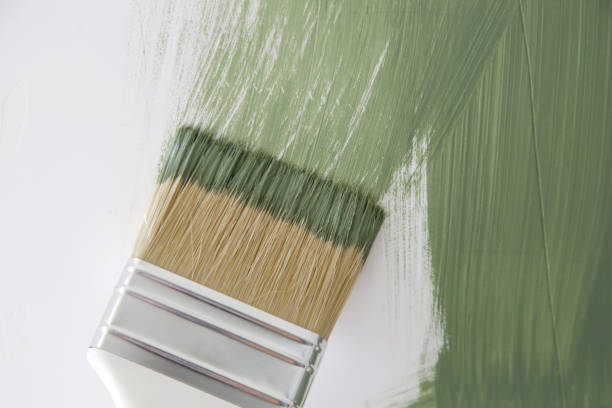 Pine City, MN Mold Removal Company
