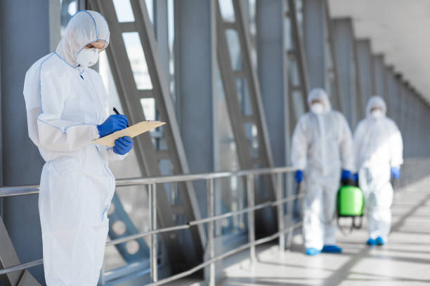 Best Airborne Mold Testing  in Pine City, MN