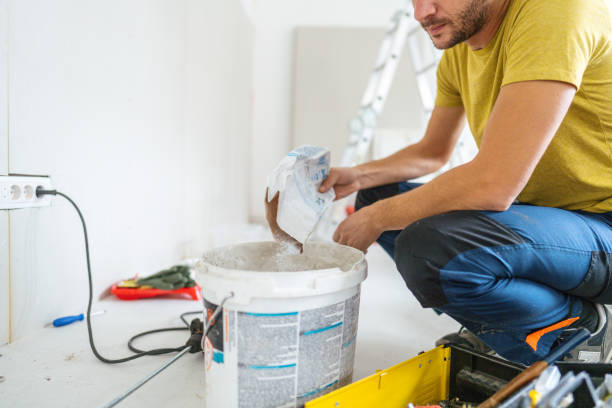 Best Basement Mold Removal  in Pine City, MN