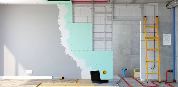 Best Mold Odor Removal Services  in Pine City, MN