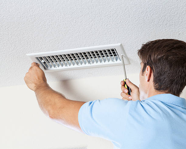 Best Black Mold Removal  in Pine City, MN