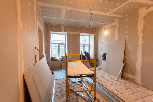 Best Mold Damage Restoration  in Pine City, MN